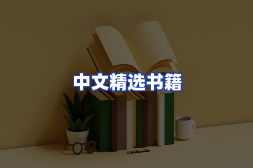 中文精选书籍